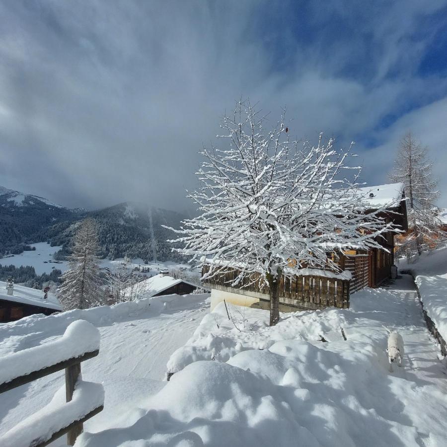 Chambre D'Hotes L'Ours Bleu Les Diablerets Kültér fotó