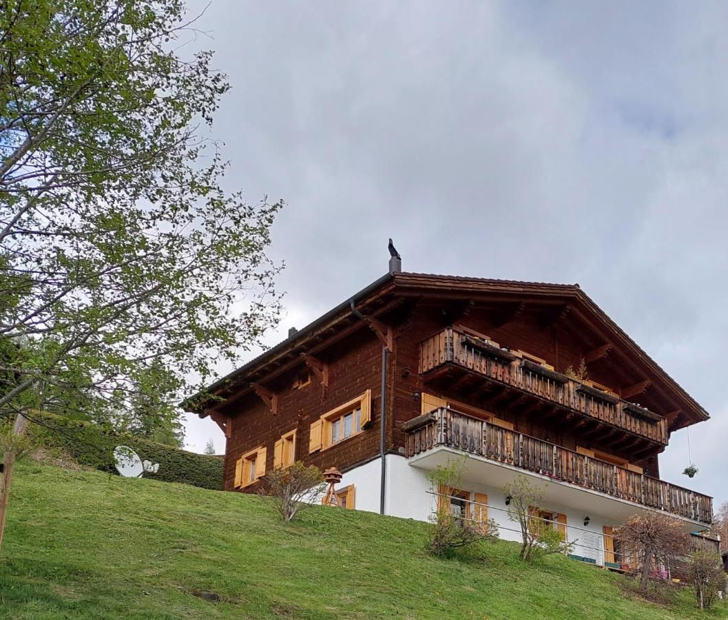 Chambre D'Hotes L'Ours Bleu Les Diablerets Kültér fotó